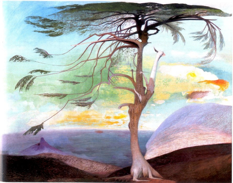 Illustration for article titled Elhagyott telken áll egy libanoni cédrus a Hűvösvölgyben